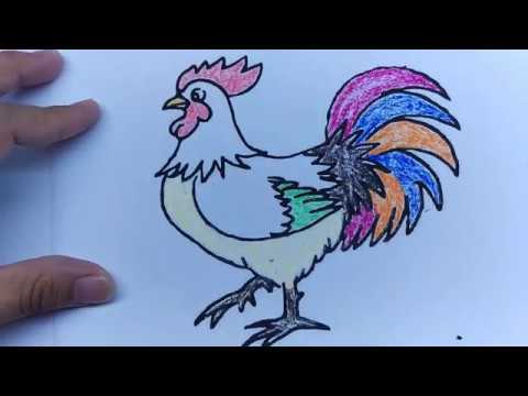Video Tô màu con gà trống - CHICKEN CHILD - youtube