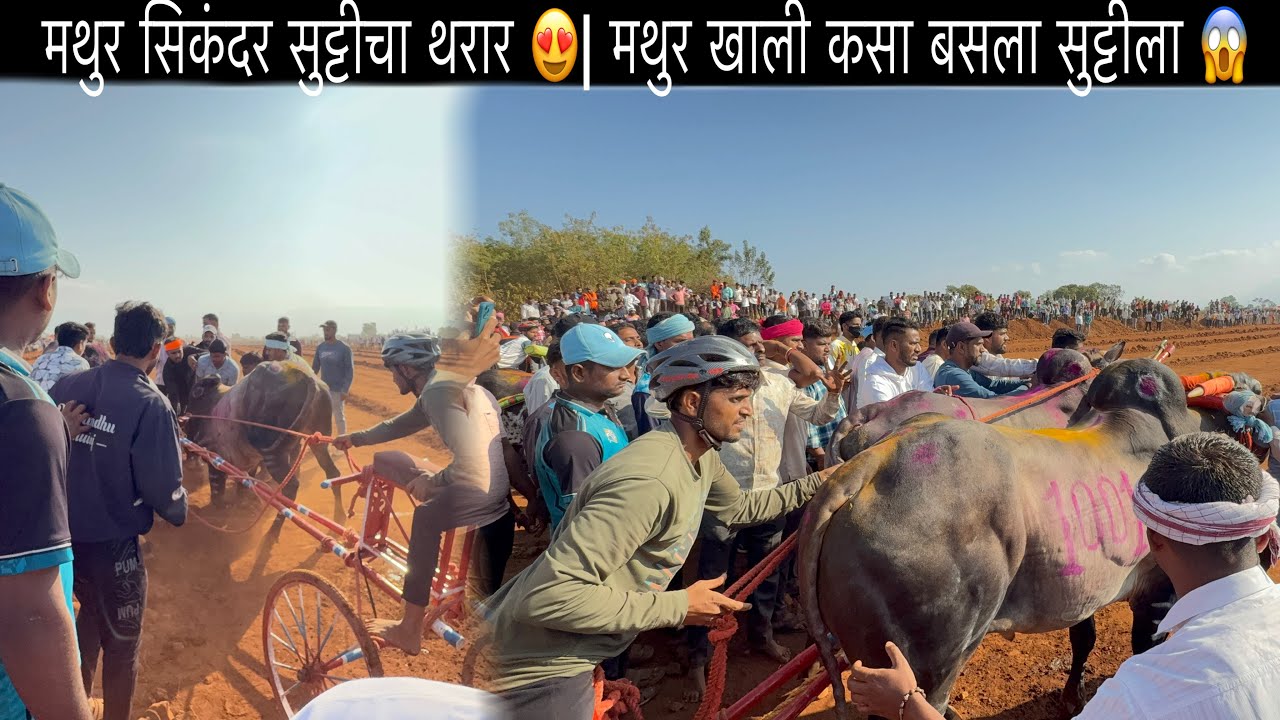 मथुर १००१ सुट्टीचा थरार 😱| सुट्टीला मथुर खाली बसला 🥺😱