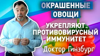 Окрашенные овощи - источник каротиноидов, антиоксидантов, стимулирующих противовирусный иммунитет