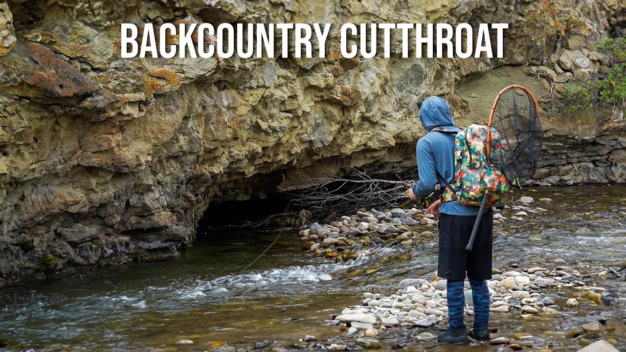 Cutthroat & Bull Trout Fly Fishing in Idaho’s Backcountry!