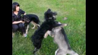 DSCF3286.AVI