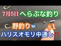 7月5日へらぶな釣り・野釣り・ハリスオモリ中通し練習#1