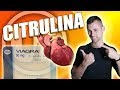 CITRULINA ► L-CITRULINA y CITRULINA MALATO 🍉 [2019] MEJORA TU RENDIMIENTO