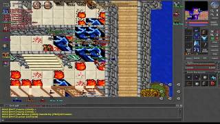 Tibia marlboro-war (Jose)