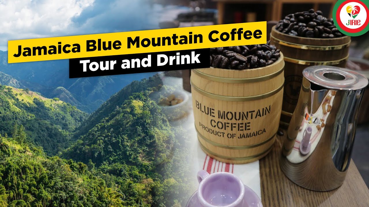 blue mountains coffee tour
