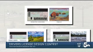 Decide on Colorado's next driver's license design
