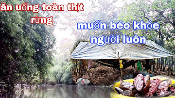 ngủ trong rừng mưa, sâu ngày mưa to, ăn thịt rừng muốn mập khỏe người luôn|phúc làng tv