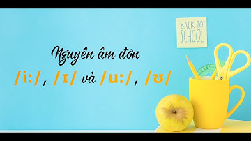 [Phát âm chuẩn IPA] Bài 2: Nguyên âm đơn /i:/ & /ɪ/ và /u:/ & /ʊ/