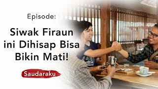 Siwak Fir'aun Ini Dihisap Bikin Mati