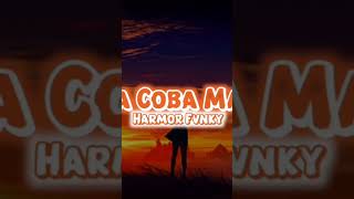 DJ Disitu Terkadang Saya Merasa Sedih Mashup Style Old Viral #djtiktok #djviralterbaru #shortvideo