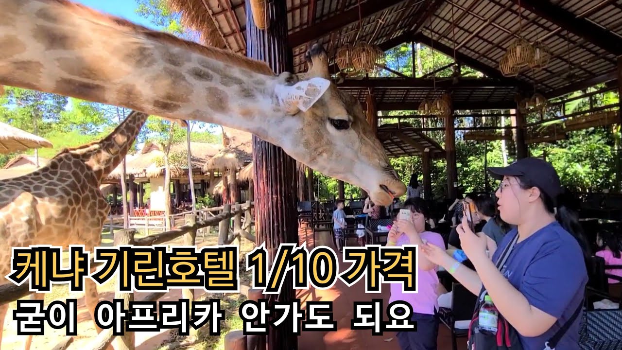 여행 망했다? 독감 걸린 몸 이끌고 간 12월의 푸꾸옥, 과연 천국이었을까? 🏥✈️ (멜리아 빈펄 솔직 후기)