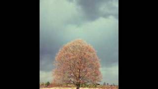 Symphony No. 1: Allegro Maestoso -  Brian Crain