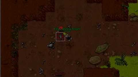 No Life :] tibia rubera