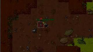 No Life :] tibia rubera