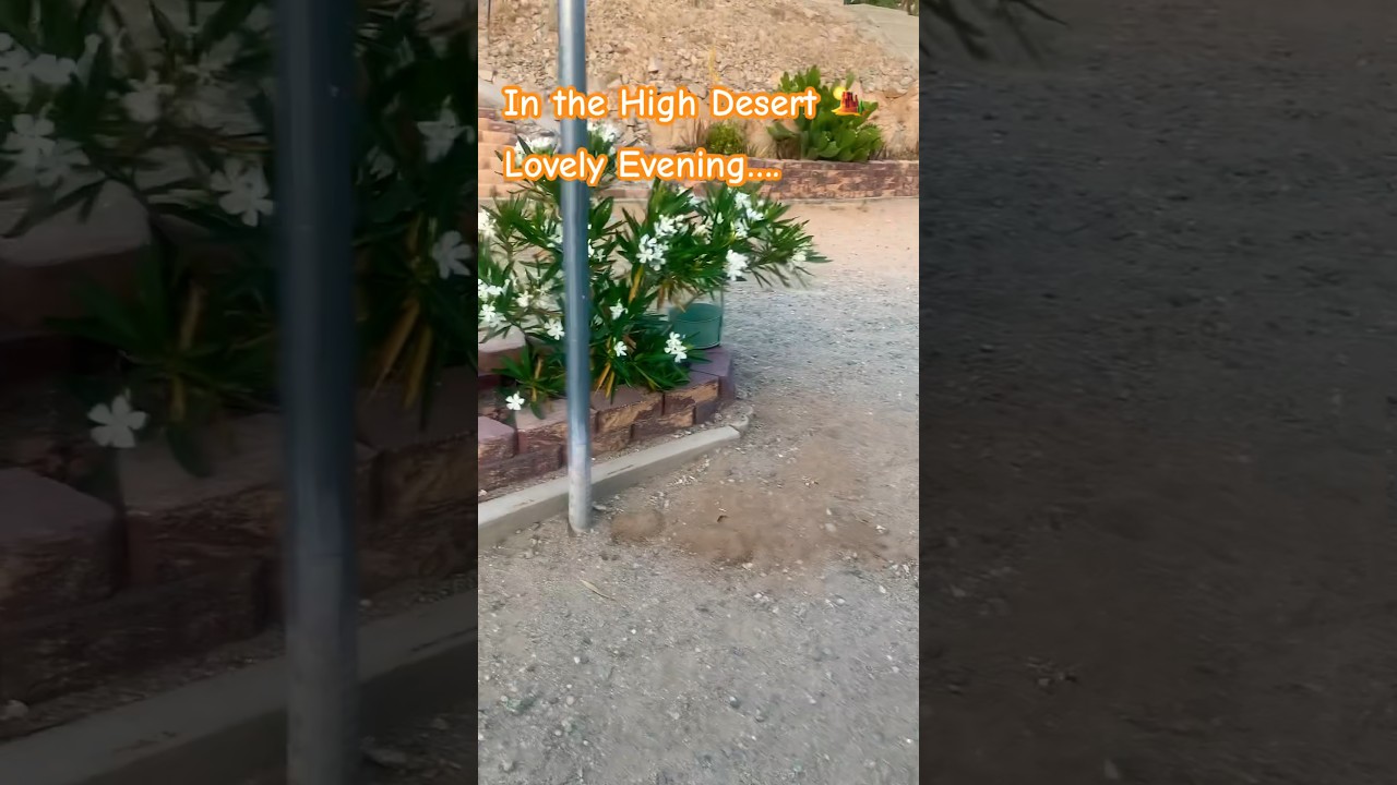 Lovely Evening in the High Desert 🏜️ 