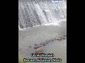 Bacaan Al quran merdu Qs.Al Waqiah #feedshorts#shorts#short#alquran#quran#relaksasi