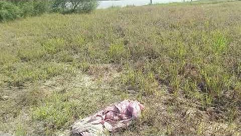 Ms 314 dt 1008mz 265ttiu chốt nền+ao 19,5x55 Sài Gòn 45km làm nhà vườn hết ý lh 0963915438 