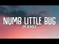 Em beihold  numb little bug lyrics