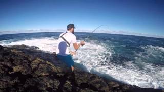 Tunas from shore Canary Islands