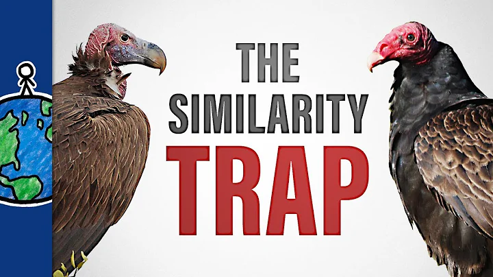 The Similarity Trap