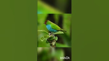 وَلَئِن سَأَلْتَهُم مَّنْ خَلَقَهُمْ لَيَقُولُنَّ اللَّهُ ۖ فَأَنَّىٰ يُؤْفَكُونَ (87)سورة الزخرف