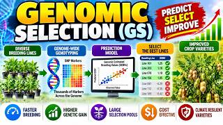 Genomic Section (GS) | GEBV, SNP Markers & Modern Plant Breeding