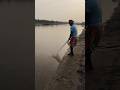 fishing in river through net/fishing video #ytshorts #fish #fishingtechniques