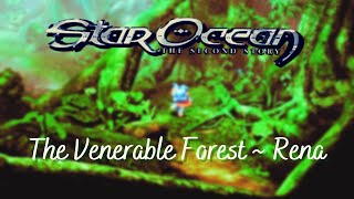 Star Ocean 2 - The Venerable Forest ~ Rena (flute / clarinet / piano cover)