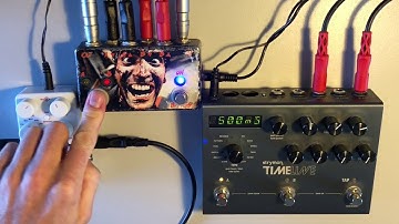 Electro Harmonix Canyon vs Strymon Timeline TAPE MODE