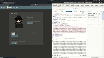 Upload Size - Improper Input Validation | OWASP Juice Shop Solution