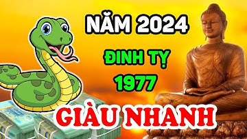 Tử Vi Tuổi Đinh Tỵ 1977 Năm 2024: Tránh Xa Điều Này Kẻo Tiền Bạc Không Cánh Mà Bay | LPTV