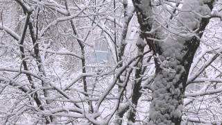 Снегопад 2015 Видео для РЕЛАКСАЦИИ Snowfall 2015 Video For relaxation