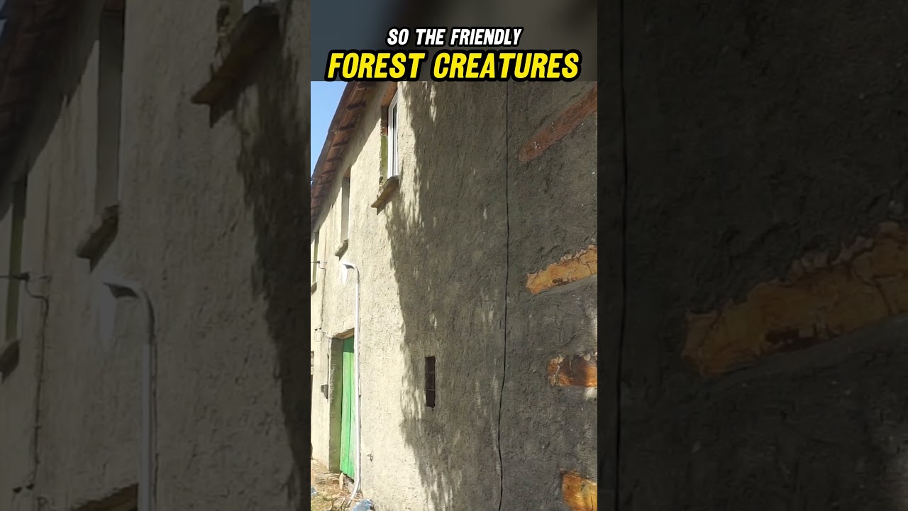 Galicia Unzipped - Electricity in our Village. 