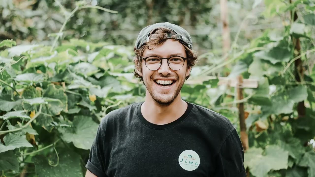 Jiwa Community Garden | Why we started
