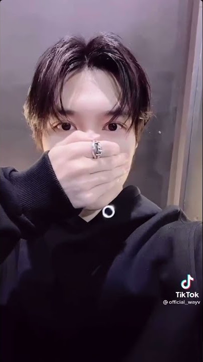 Hendery WayV official tiktok