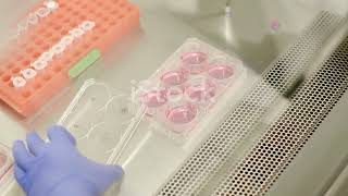 What is Biochemical Engineering
