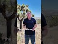 New California Law for Landlords? AB 1725 Explained | Oil Well Disclosure, Methane Alarms &amp; Rental C