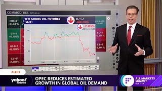 OPEC reduces estimated growth in global oil demand