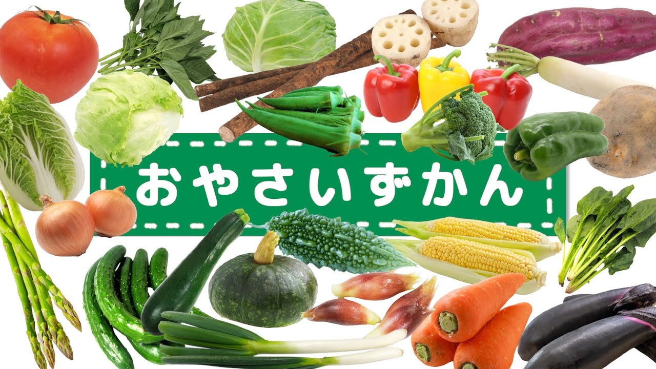 0歳からのフラッシュカード】おやさいずかん 本物の野菜がいっぱい☆お