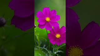 20 December 2022Thenpandi Muthukkalaதனபணட மததககள ந சநதம மததஙகள