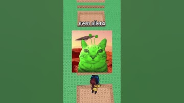 Being dev is worst....