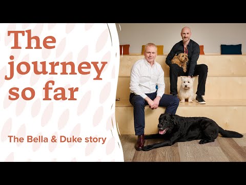 The Journey So Far | The Bella & Duke Official Documentary