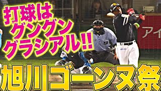 【旭川花火大会】グラシアル 『打球はグングン伸びた！今季7号ソロですぐさま追撃！』