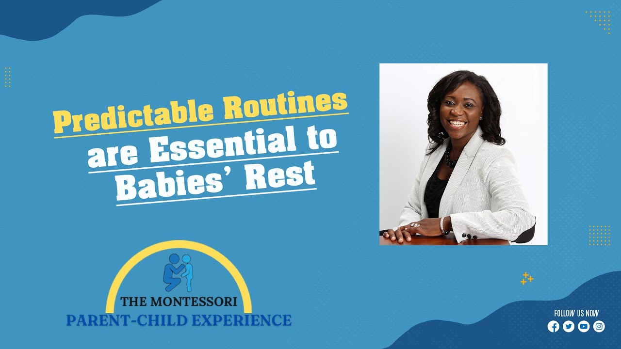 Predicatable Routines are Essential to Babies' Rest - YouTube