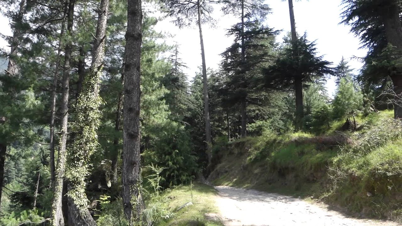 Наггар, Гималаи в июне 2015 (Naggar, Himalaya) - YouTube