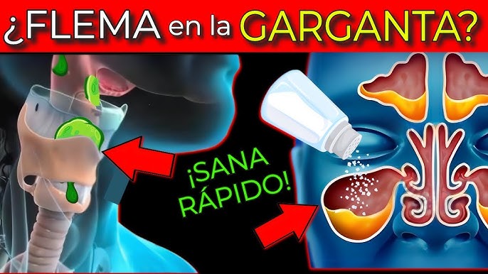 Peine Eléctrico Anti Piojos y Liendres ¡Elimina al Instante! — OrtoPrime