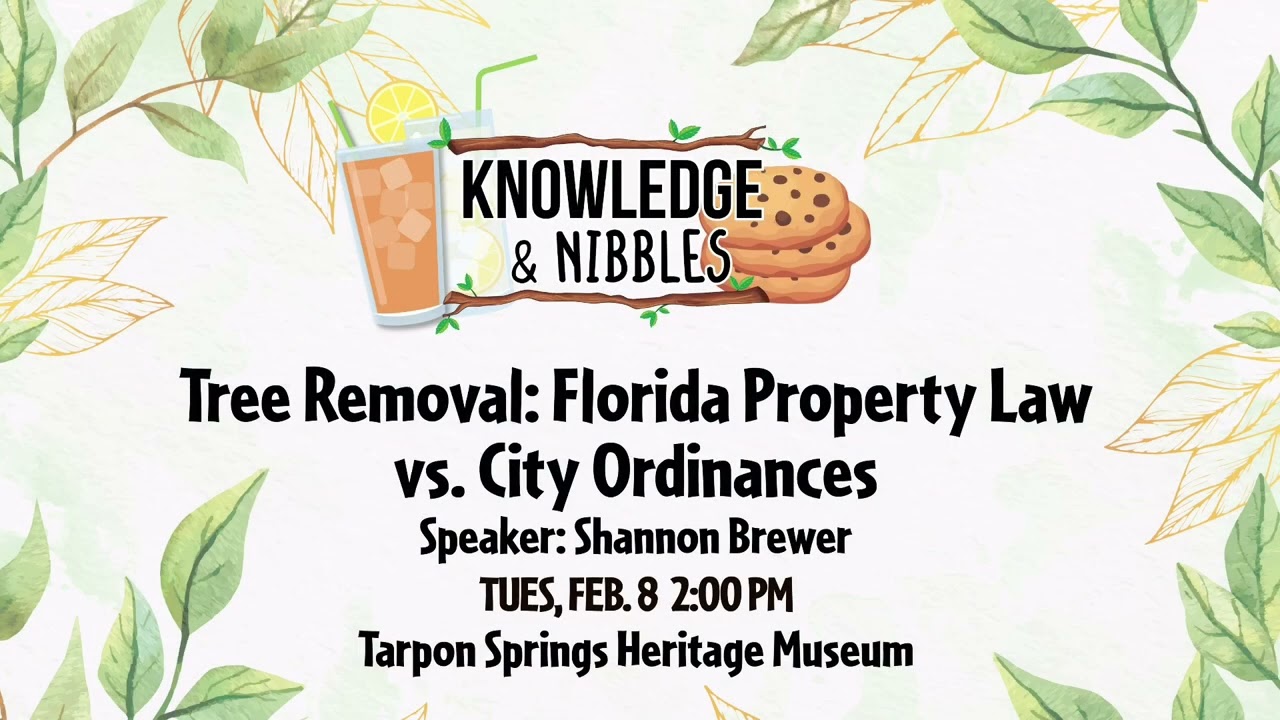 Knowledge & Nibbles Tree Removal Florida Property Law vs. City