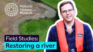 Restoring the river Ecclesbourne | Field Studies
