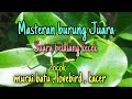 Suara Jernih Belalang Kecek Untuk Masteran Burung Juara Mp3 - Mp4 Download