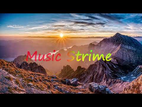 HOMIE - Эхинацея